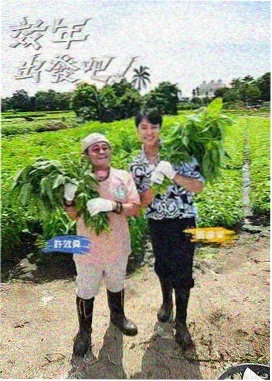 重点样本蓝盐灯塔的标注封面
